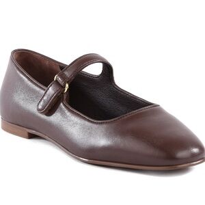Seychelles Shea Brown Leather Mary Jane Flat Sz 6.5 new in box